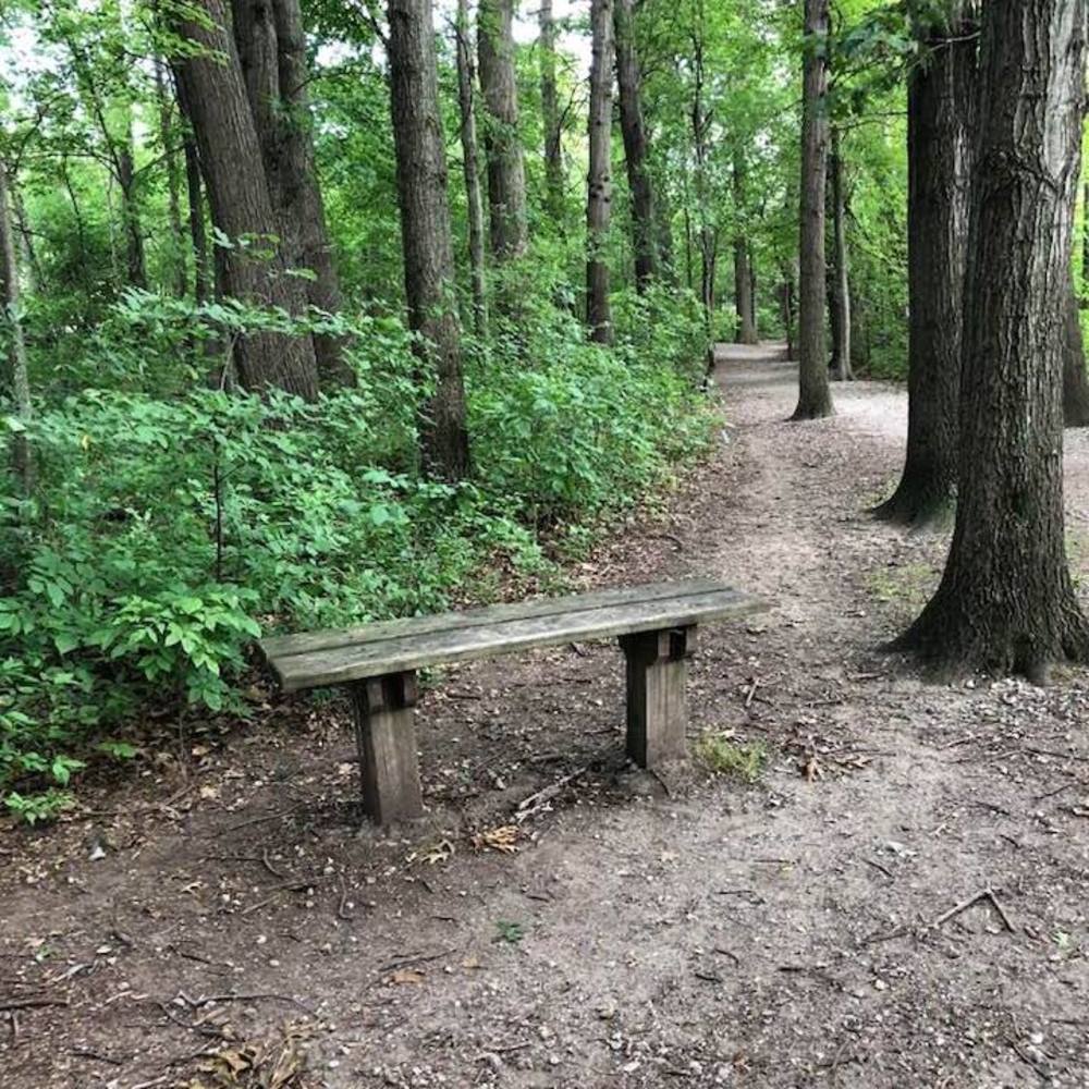 Meet your Posher, Bj